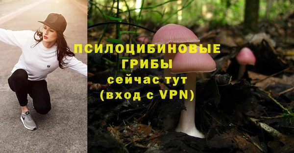 герыч Заводоуковск